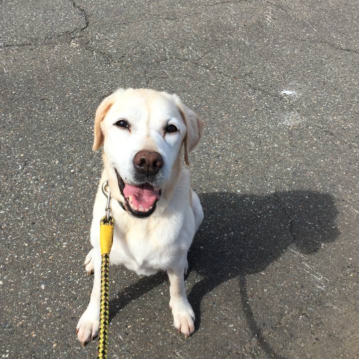 D171188f e49e 4b8b a3b4 1d0e89b04f91 1548758130131