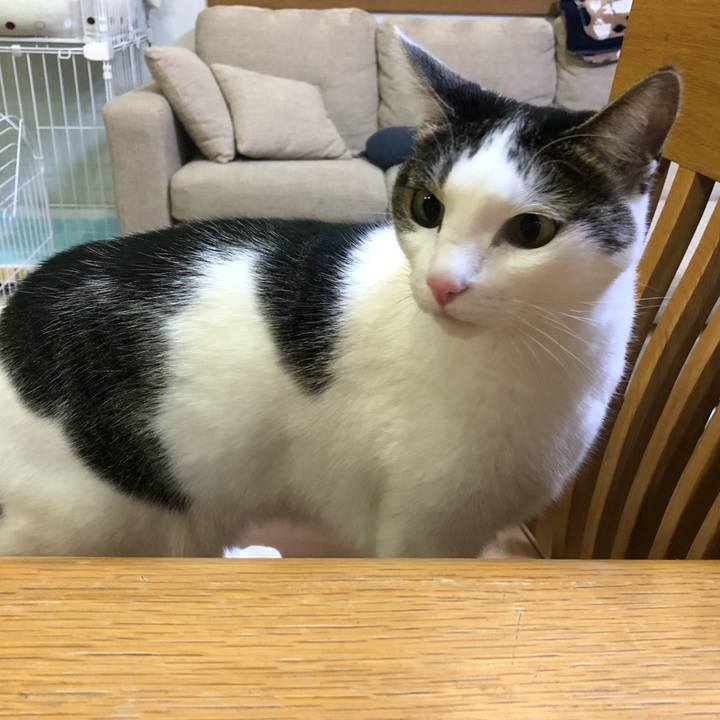 D1713f3f 6768 487f a001 0e3735bc3e65 1704017214086