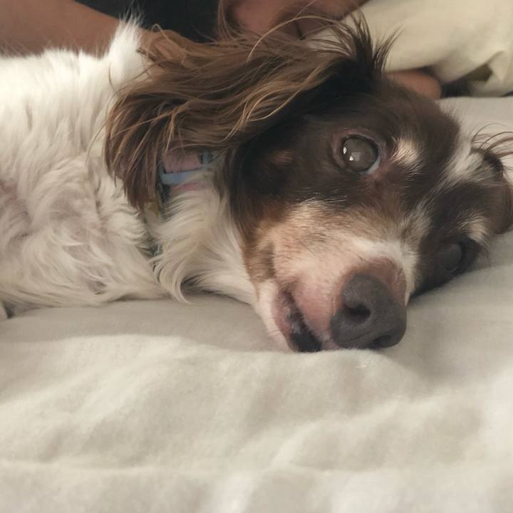 D171c758 cb9c 49ec 9a21 ba38f26a9de5 1559393756637