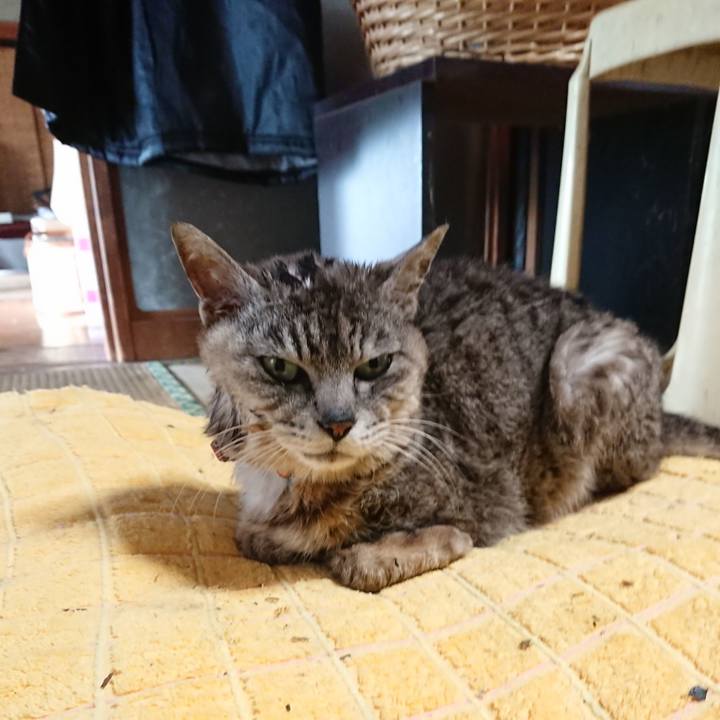 D171d695 8cf4 4847 bb69 a383217b358f 1594514396115