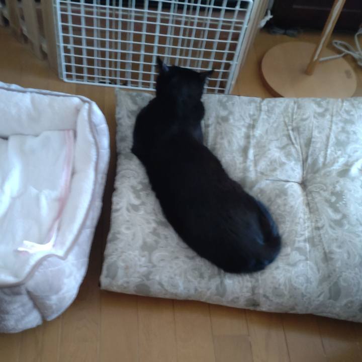 D171fd2d 0343 4daa bb7b 21b3f1f8619c 1735778549496