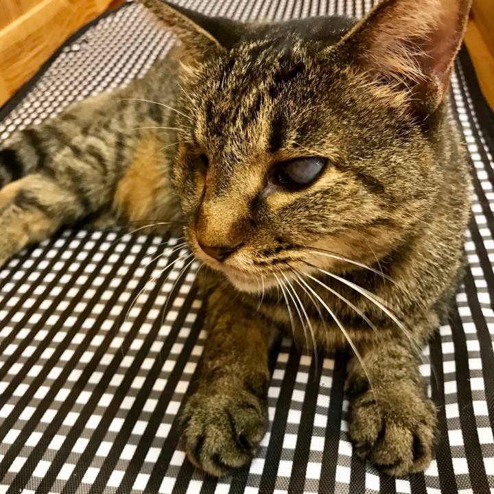 D1721707 4743 4488 8dd5 3a9cdfe4ad78 1570848924242