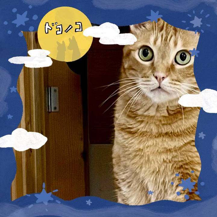 D1724258 f72d 4e0f bf1d 8c7c11911f63 1726985295324