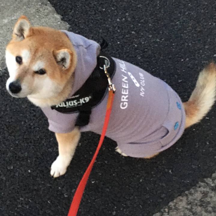 D17272a9 99f6 4fdf 8666 a43c1155c537 1585044727043