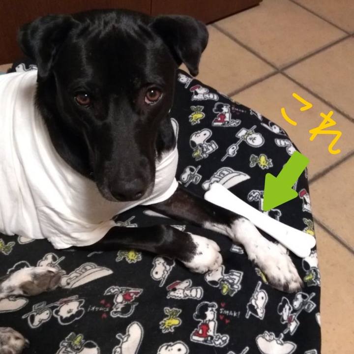 D172955c b4dd 46c6 92a7 a4284080b50c 1608978427665