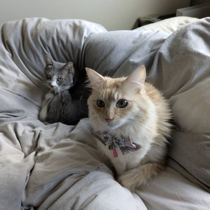 D172da0e f695 483b 9f3e c1d245e94d94 1762501110177