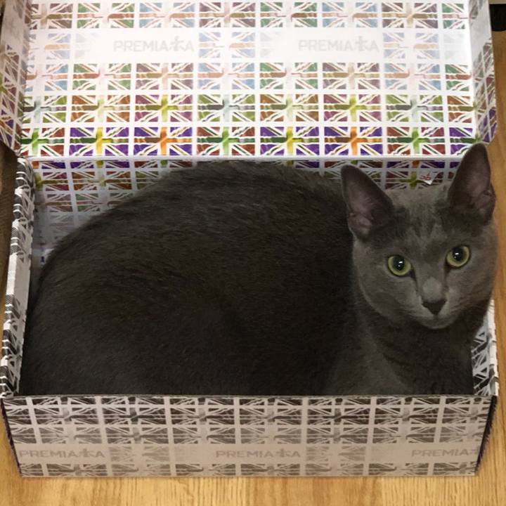 D172eb7c 9e7a 4515 aacb c4dc70bb5c19 1565072834334