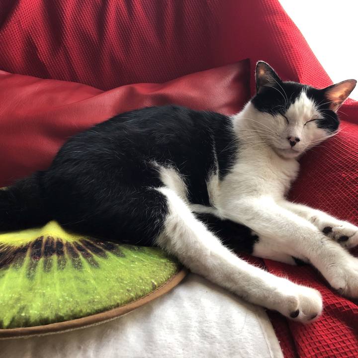 D173030e fd55 4192 89c0 8fe008447586 1564972314529