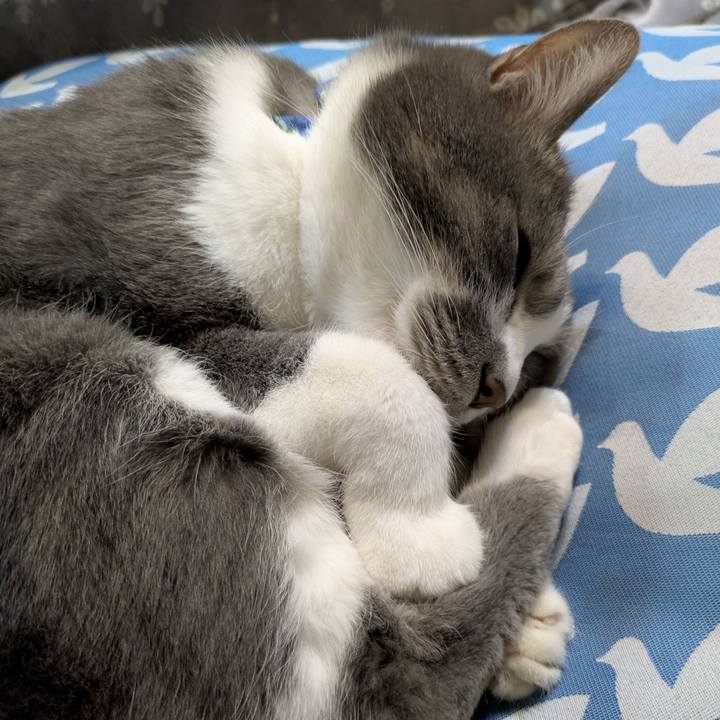 D173737f 5e1d 4a26 b10c a8b146283f46 1771854951886