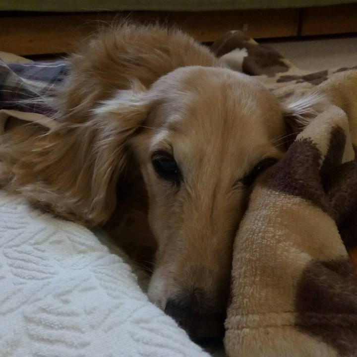 D1738972 6195 46b4 aff0 019c9dfccc84 1556897578425