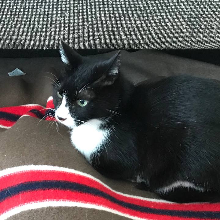 D173a05d 388c 4df8 8b64 996e49a64d2a 1548657160483