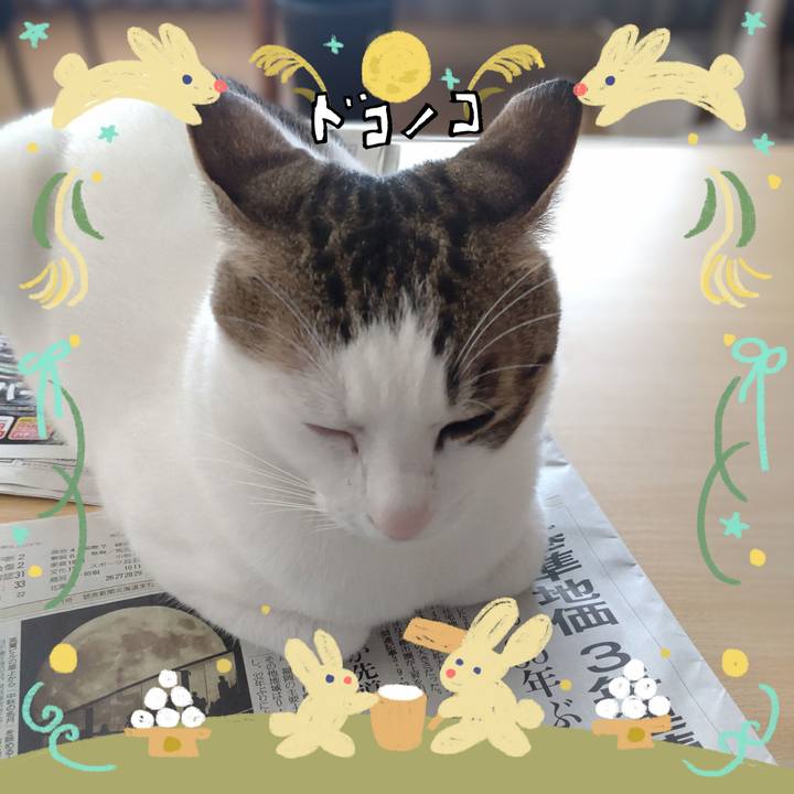 D173bd4b fbd3 448a 8787 56515d0a14d2 1726814361649