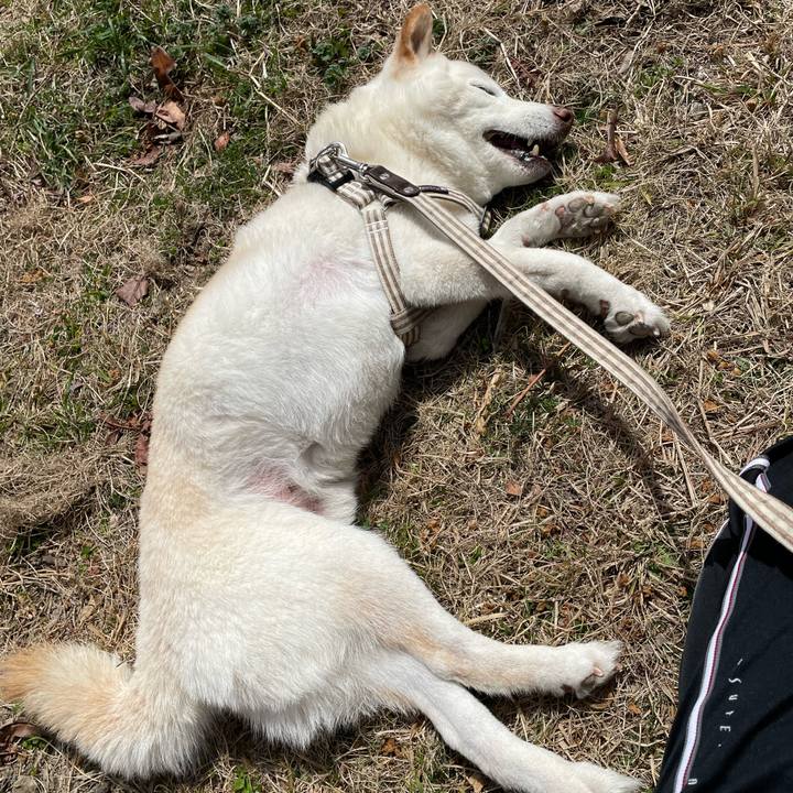 D173bf5f 74e4 4825 bdfa 0e98a7bc25be 1646478347325