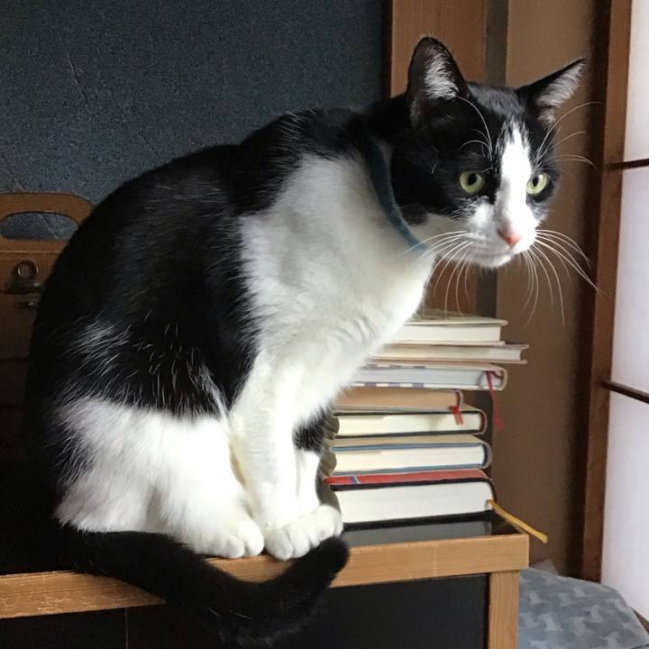 D173ce50 d2ad 4b65 a829 8725b8580404 1735693158914