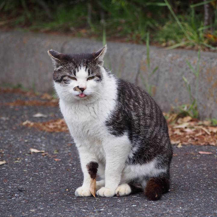 D173cfe1 2326 4bf4 954c 1bb97acfd491 1589121000035