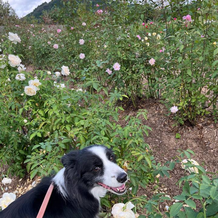 D173f9c3 faf5 42b5 8e75 12449dd82fe2 1760771128251