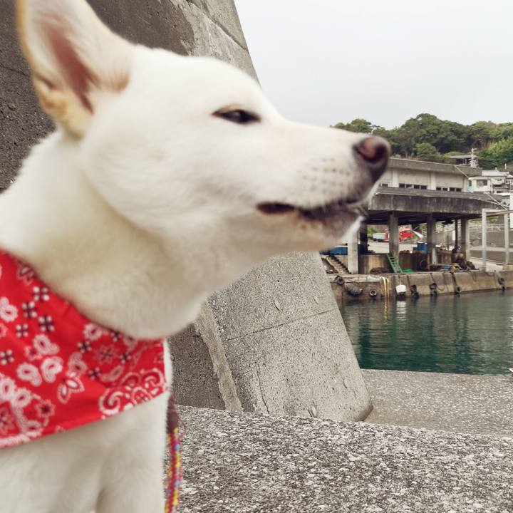 D1741451 3255 4d72 9ac6 110774a30758 1624694468527