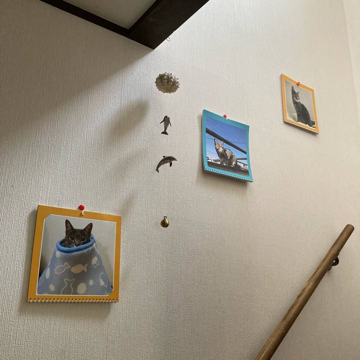 D1741c05 ce14 4ba2 aa2b 6ae738a9cca3 1629515309678