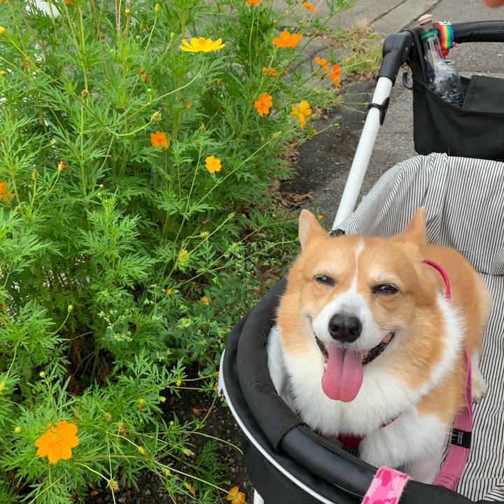 D174fa9b 3135 43af b12b 2ce8a8cfc71c 1693960770944