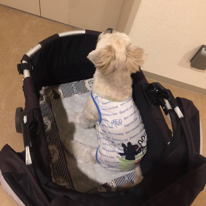 D1751da4 5f0b 48f6 9e5c b4a47a820f13 1541582209119