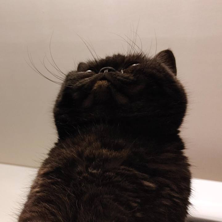 D17522cb 9e88 4506 aed5 fa1fdff38cf1 1619340808361