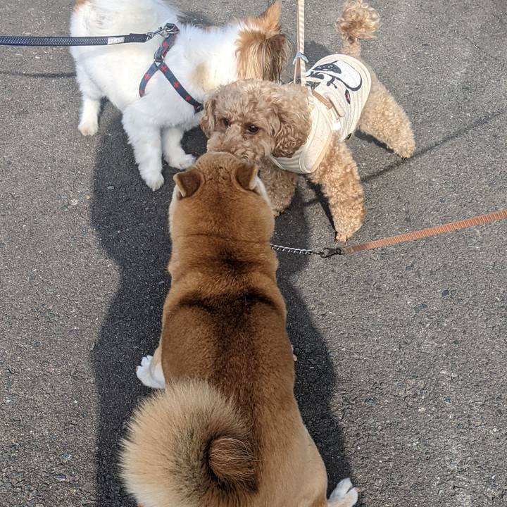 D1752968 e3ee 45f0 8771 2a9c639b5b87 1745032469314