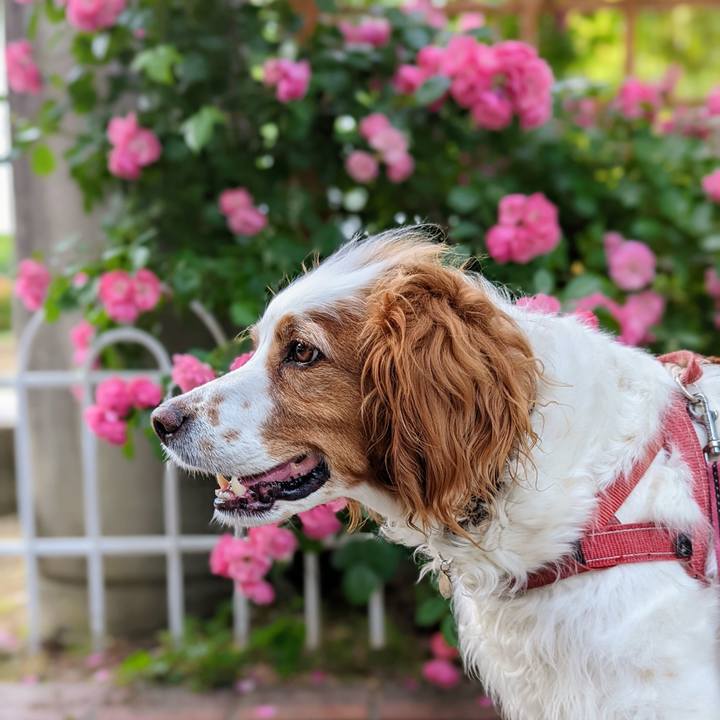 D1754d0e 88ca 4b66 b344 5d790dedfc9e 1665195079573