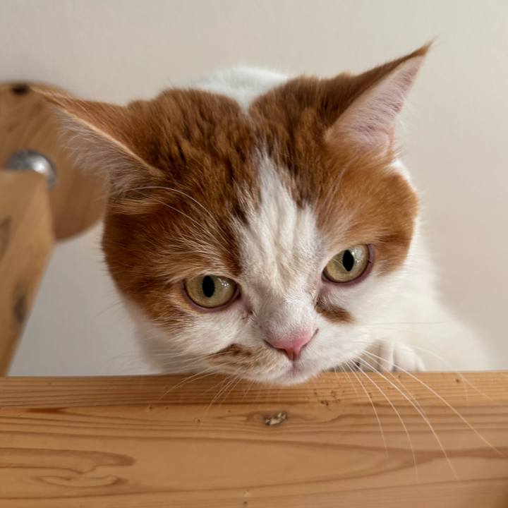 D17576a3 c3c3 4de9 be3f 0d05e4012874 1774320807553