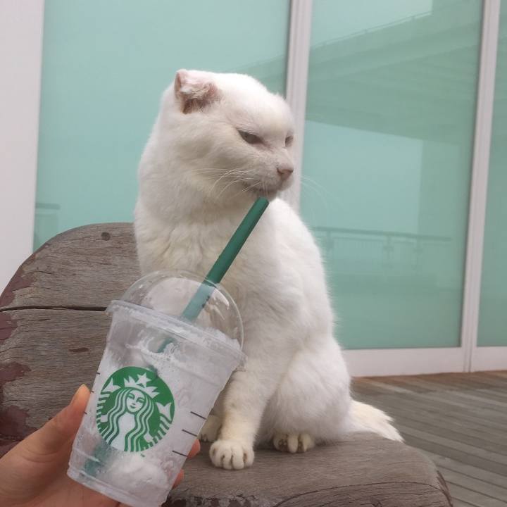 D1757be7 9465 4939 ac88 e14e05f145ef 1591399609810