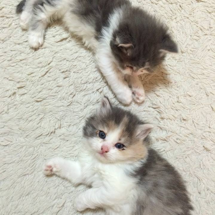 D1760074 9a78 405e a411 18e992ac165a 1535123197379