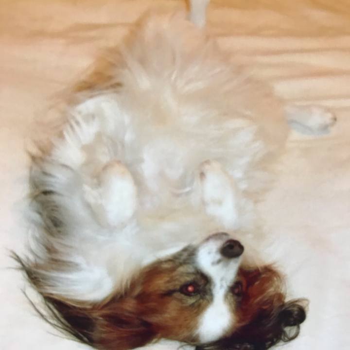 D17616ea 2146 4f2a ac6c 2a6744308973 1576762825387