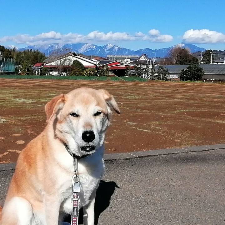 D1763257 b76a 45d7 a797 b8ef8fa6927c 1579401911927