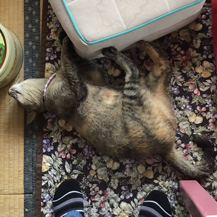 D176c5ab a26a 4d41 b43e 953619187a9c 1592877342897