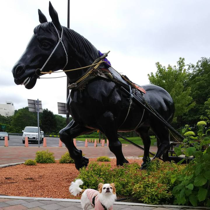 D176f7e0 3f9f 4339 a07a 5b4fd40ea1d8 1531706918409