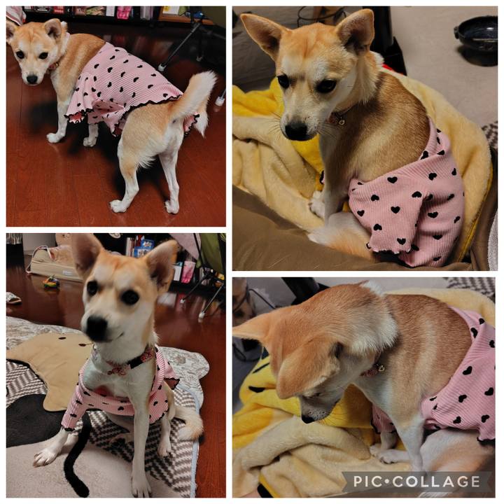 D17735ef 9144 421b aaa9 960e38be5063 1763417507615