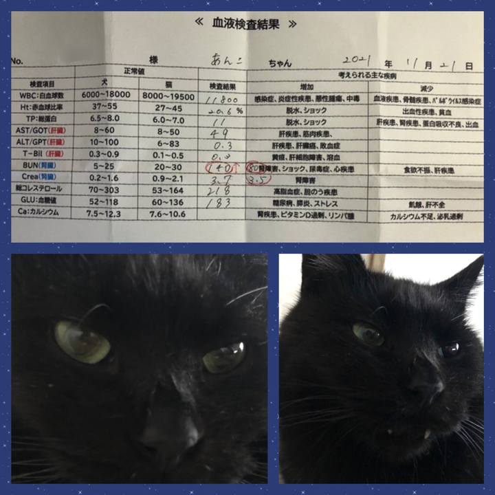 D1778b06 120e 46e4 bfbc adbe891059e9 1637477276415