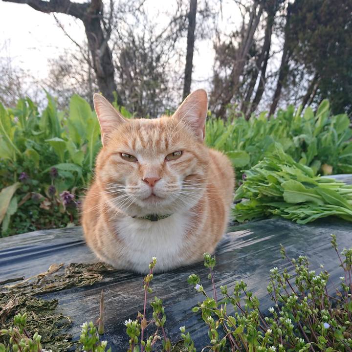 D1778ec4 8237 4855 af4c 017ac509c3de 1585989422953