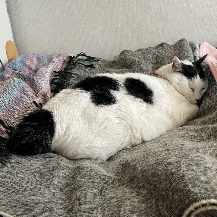 D1779210 76bd 4347 ac3e a1efe0cfdfca 1645403581917