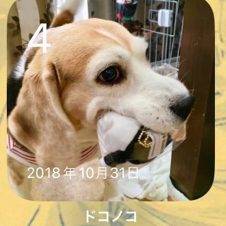 D1782769 910e 41a1 9afd 1098656009ab 1699056557865