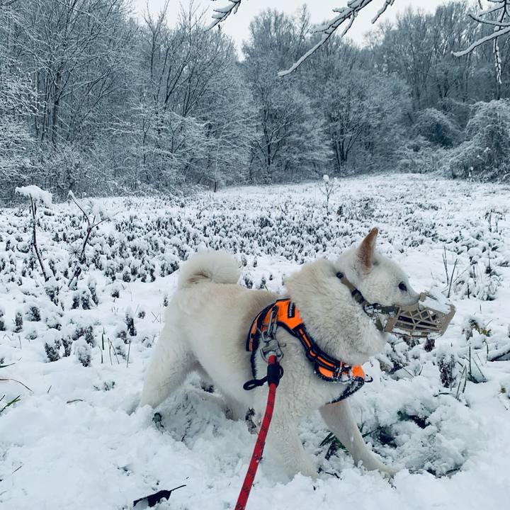 D1782da4 2adc 42eb b3b7 046015f3e0af 1637649944245