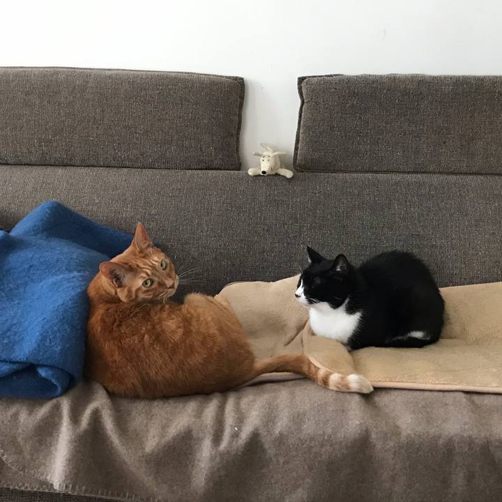 D1784360 31ad 476f bd17 9cd2529d7e16 1575806958479