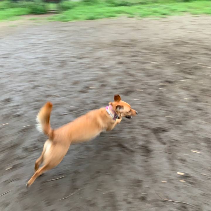 D1784881 5e66 45df 8e7e 822d6303e44a 1562986278926