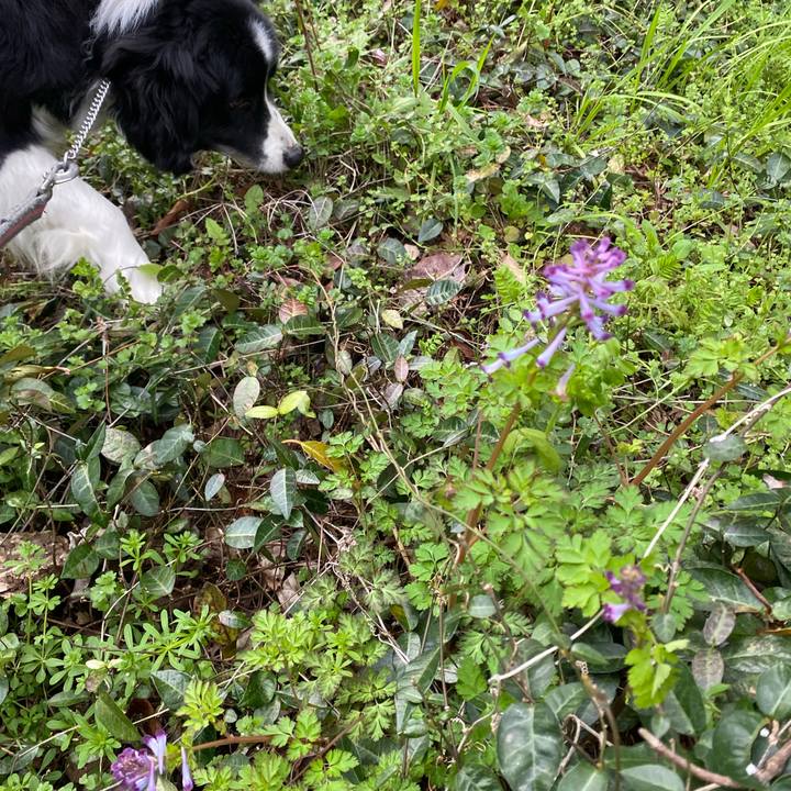 D17848ae fe9d 4217 841d 20d72ca4a811 1616114005293