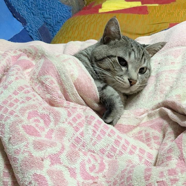 D178520c f574 45f9 86e4 9e02647cad06 1738499937213