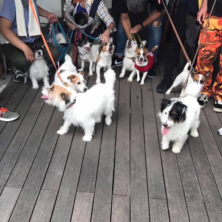 D1786d47 98ee 4436 93ae 366d7e1f8161 1661045119415