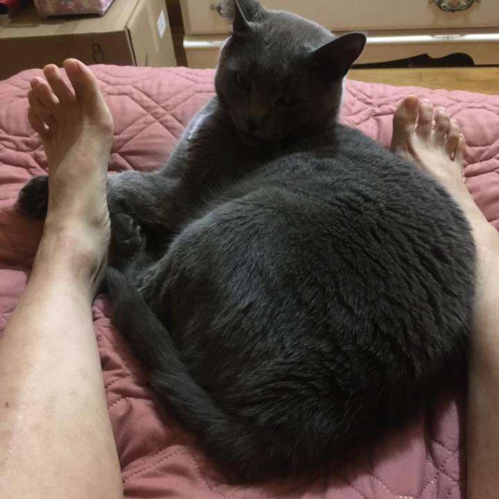 D178920d 5ff4 40f7 a9ed 08fe5b4263ab 1633793693776