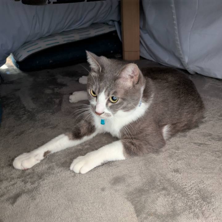 D178a753 7e29 4dfe a81b 7af6439d2081 1734919378406