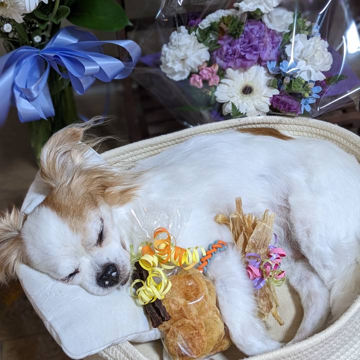 D178aff3 d37d 45e1 ae25 7ef318a7daa3 1685426202642