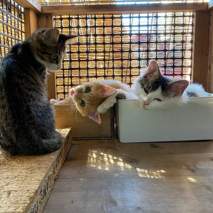 D1790182 1db8 4c6f 9518 b17538af3467 1633567808971