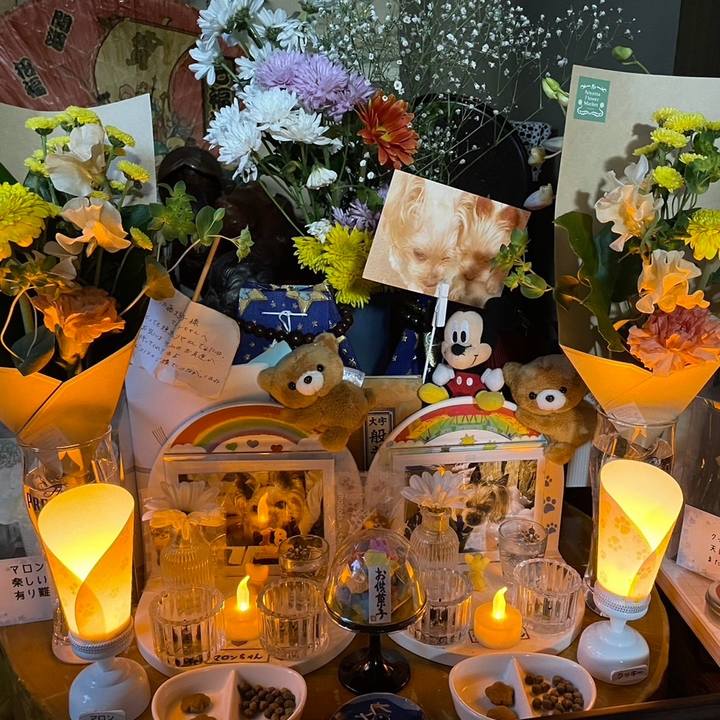 D179407a 8082 448b 99f1 6624d12c847e 1741943990712